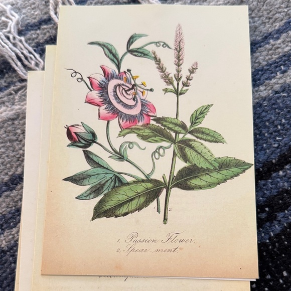 5 Botanical Note Cards - Picture 6 of 6
